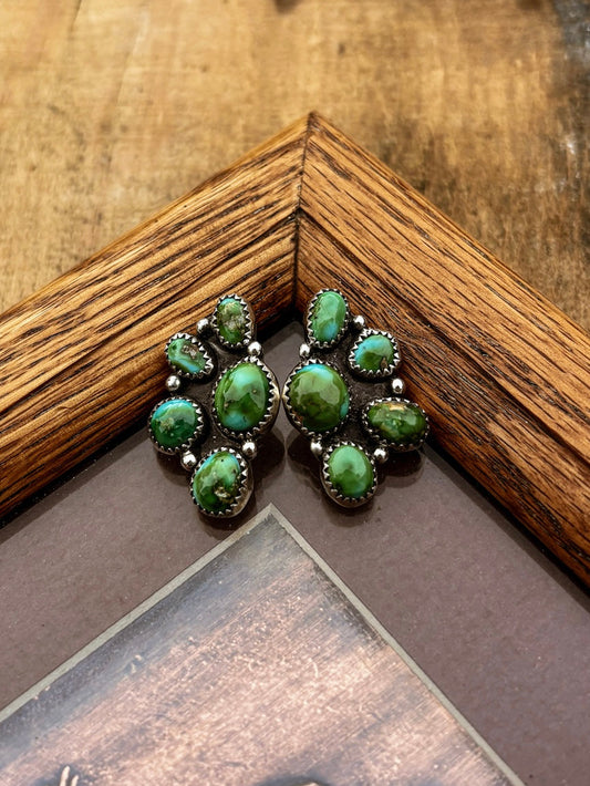 Sonoran Mountain Cluster Earrings
